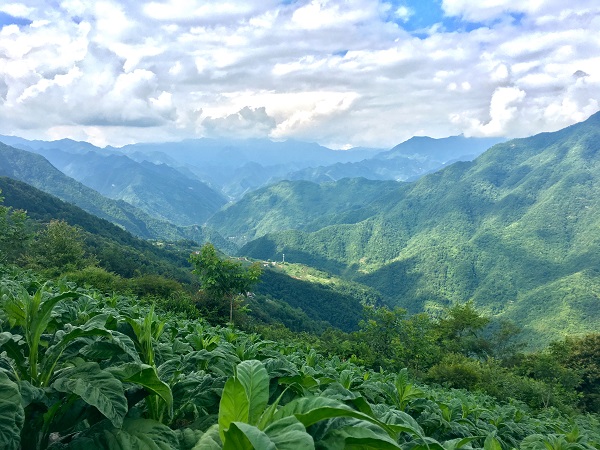 ���(y��ng)�����\�C��