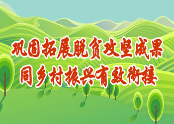 얹���չÓؚ����(ji��n)�ɹ�ͬ�l(xi��ng)�����d��Ч㕽�