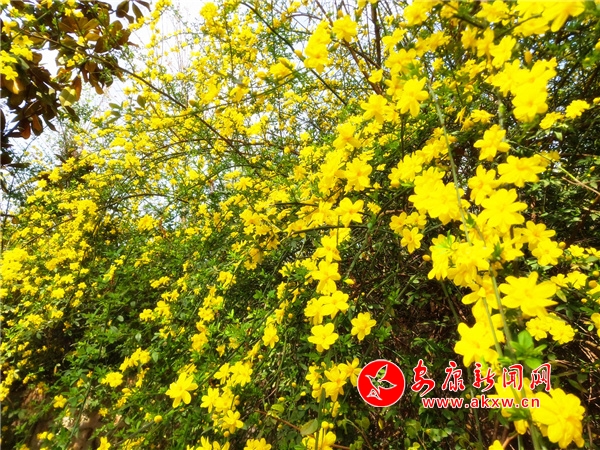 ���_�hꎝM�Ǵ�