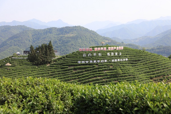 2023�����H���ա��Ї�����(ch��ng)���(d��ng)�ڼ� ����늾W(w��ng)ȫ�������