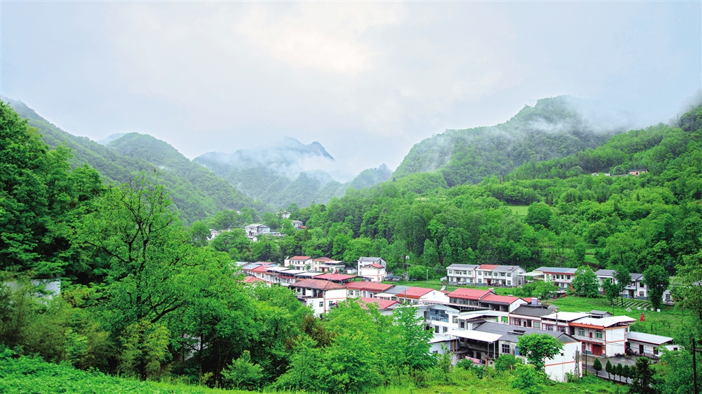 �����l(xi��ng)���®���