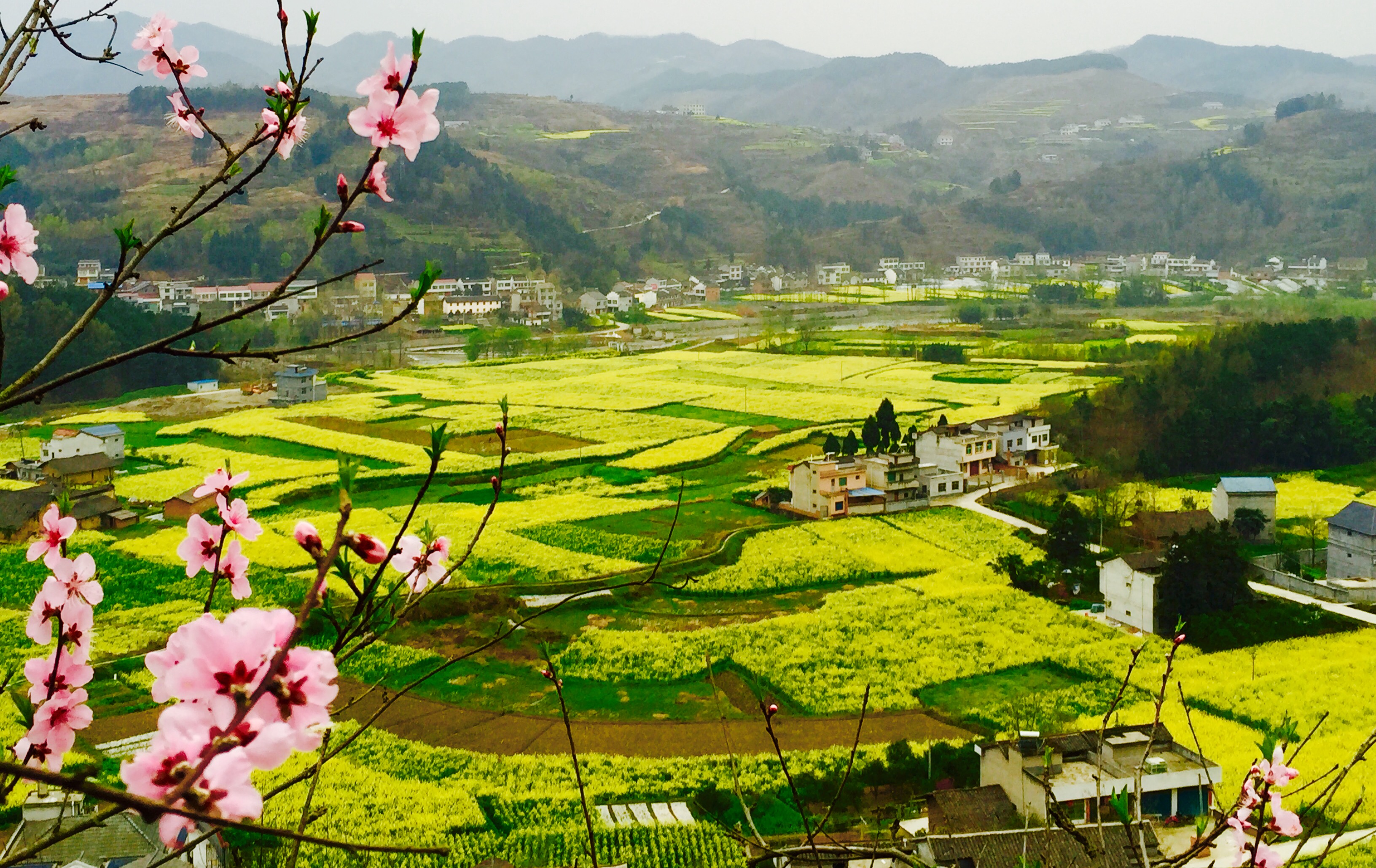 �������S����p����