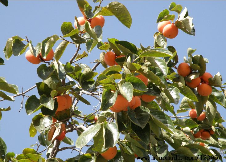 Ѯ�(y��ng)����������(sh��)���h�� ��Ѯ�ϝh���3�ﲻ��