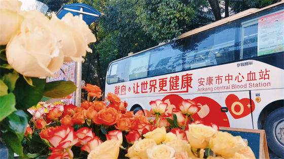 安康這三兄妹，熱血！