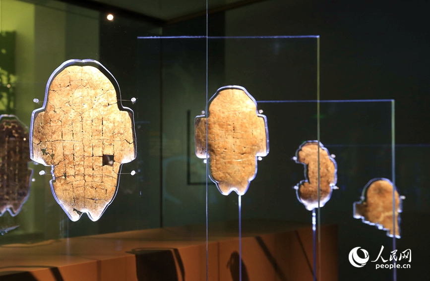 殷墟博物館展出的甲骨文。人民網(wǎng)記者 慎志遠(yuǎn) 攝